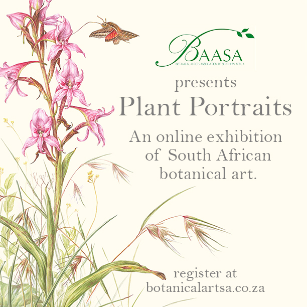 BAASA plant portraits